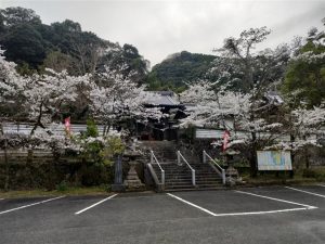 DWIMG20250330173256_640