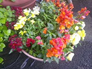 DSCF0002